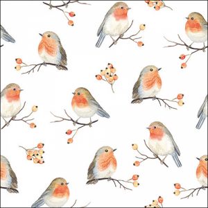 Serviettes en papier Robin Family